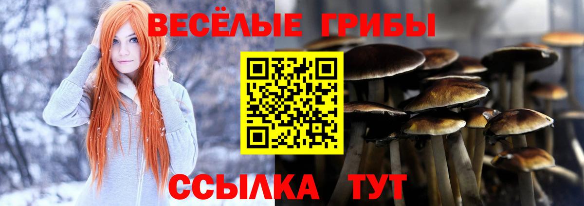 Псилоцибиновые грибы Cubensis Улан-Удэ